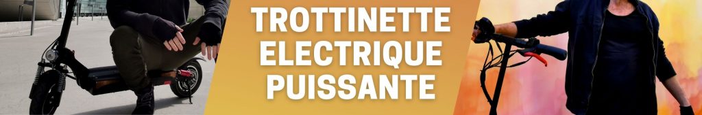 Trottinette électrique pour Adulte de 150KG